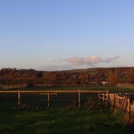 Mapperton Barn House B&B Nr Stourhead & Longleat Mere  Екстериор снимка