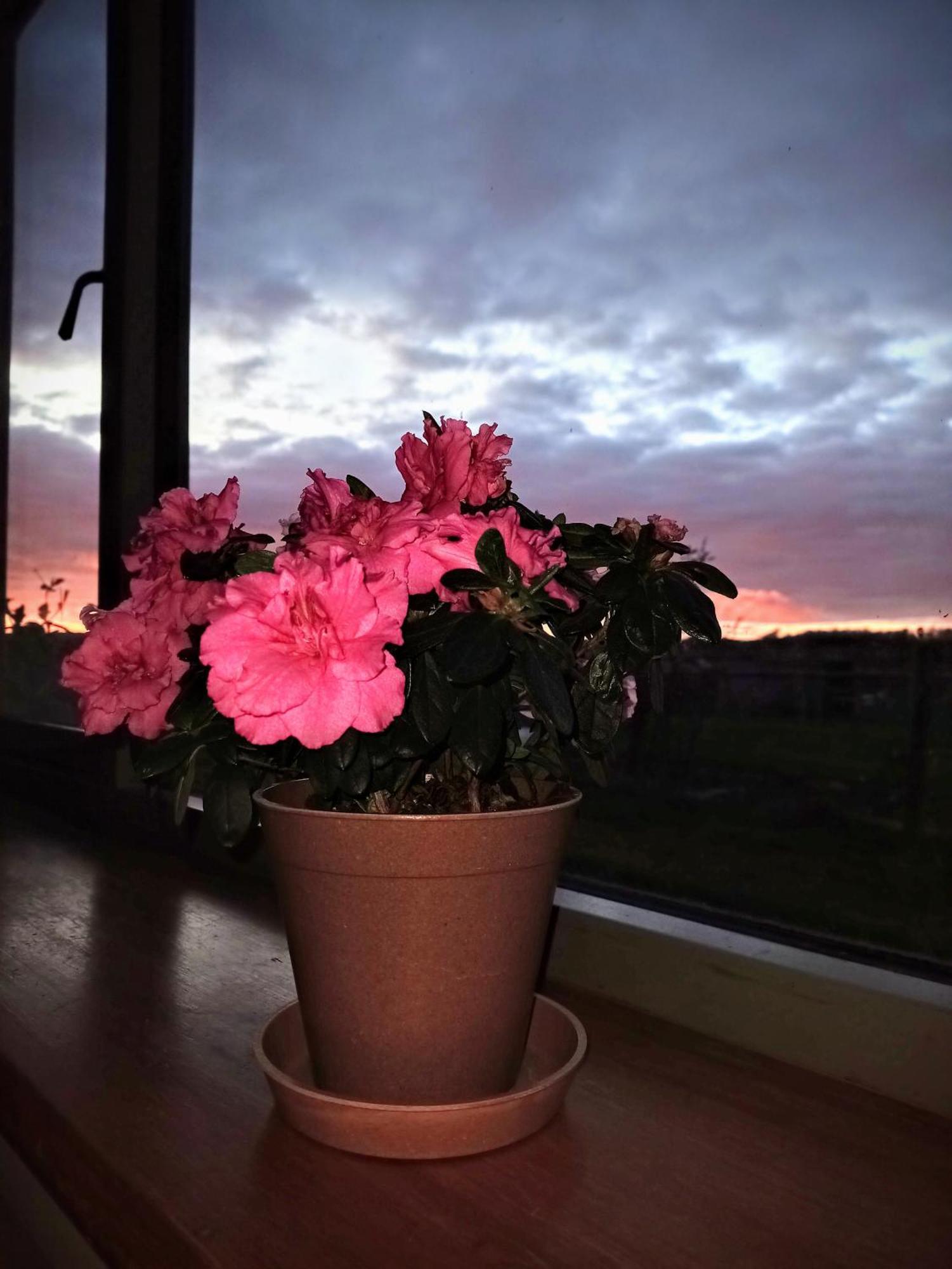 Mapperton Barn House B&B Nr Stourhead & Longleat Mere  Екстериор снимка